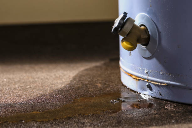Best Professional water damage repair  in Wewahitchka, FL
