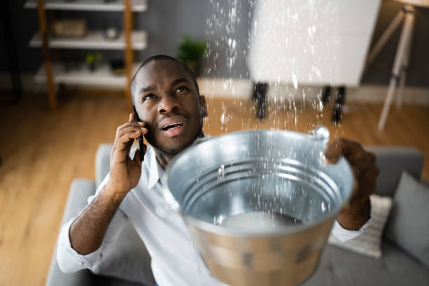 Best Water damage contractors near me  in Wewahitchka, FL