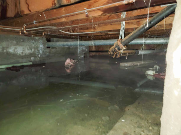 Professional Water damage restoration in FL
