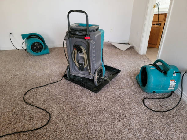 Best Emergency water damage restoration  in Wewahitchka, FL