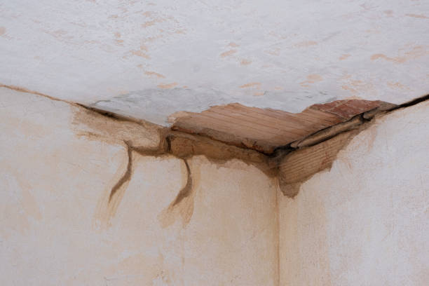 24/7 water damage repair in FL