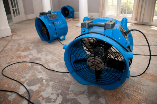 Best 24/7 water damage repair  in Wewahitchka, FL