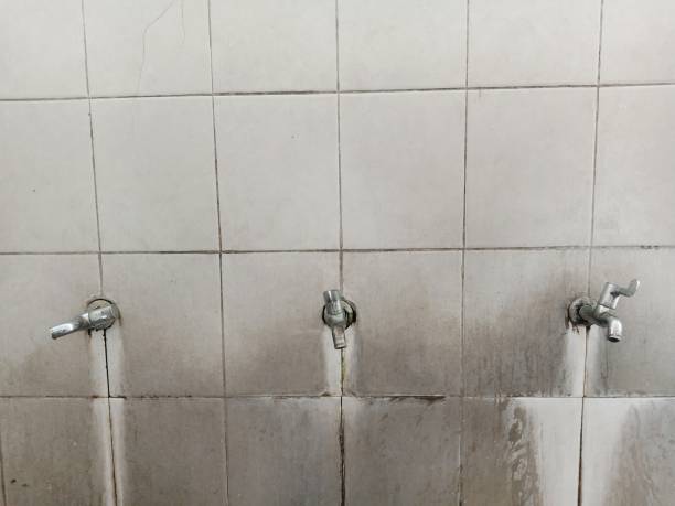 Best Carpet water damage restoration  in Wewahitchka, FL