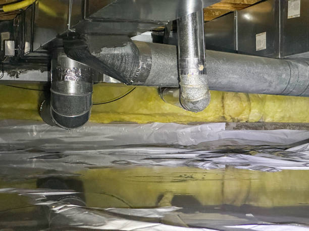 Best Emergency water extraction  in Wewahitchka, FL