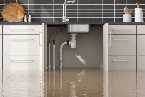 Best Water damage cleanup near me  in Wewahitchka, FL