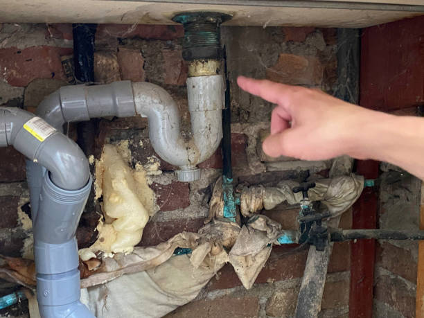 Best Water damage restoration near me  in Wewahitchka, FL