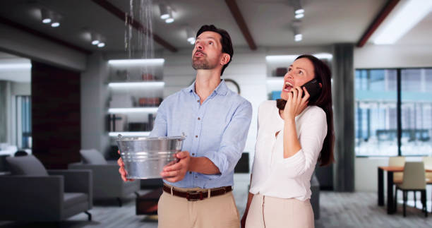 Best Water damage restoration process  in Wewahitchka, FL