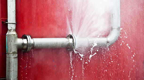 Best Sewage cleanup and water damage restoration  in Wewahitchka, FL