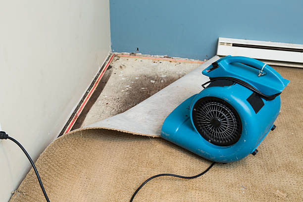 Best Water damage restoration experts  in Wewahitchka, FL
