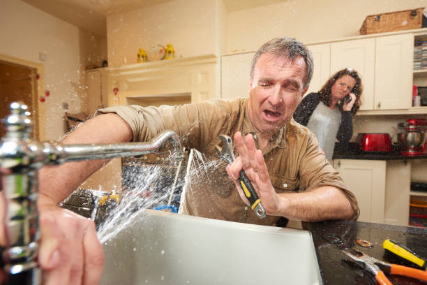 Best Flooded house restoration  in Wewahitchka, FL